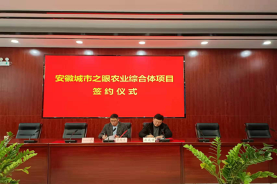 安成鎮參加安徽城市之眼農業綜合體項目簽約儀式，攜手推動新材料技術推廣服務賦能現代農業
